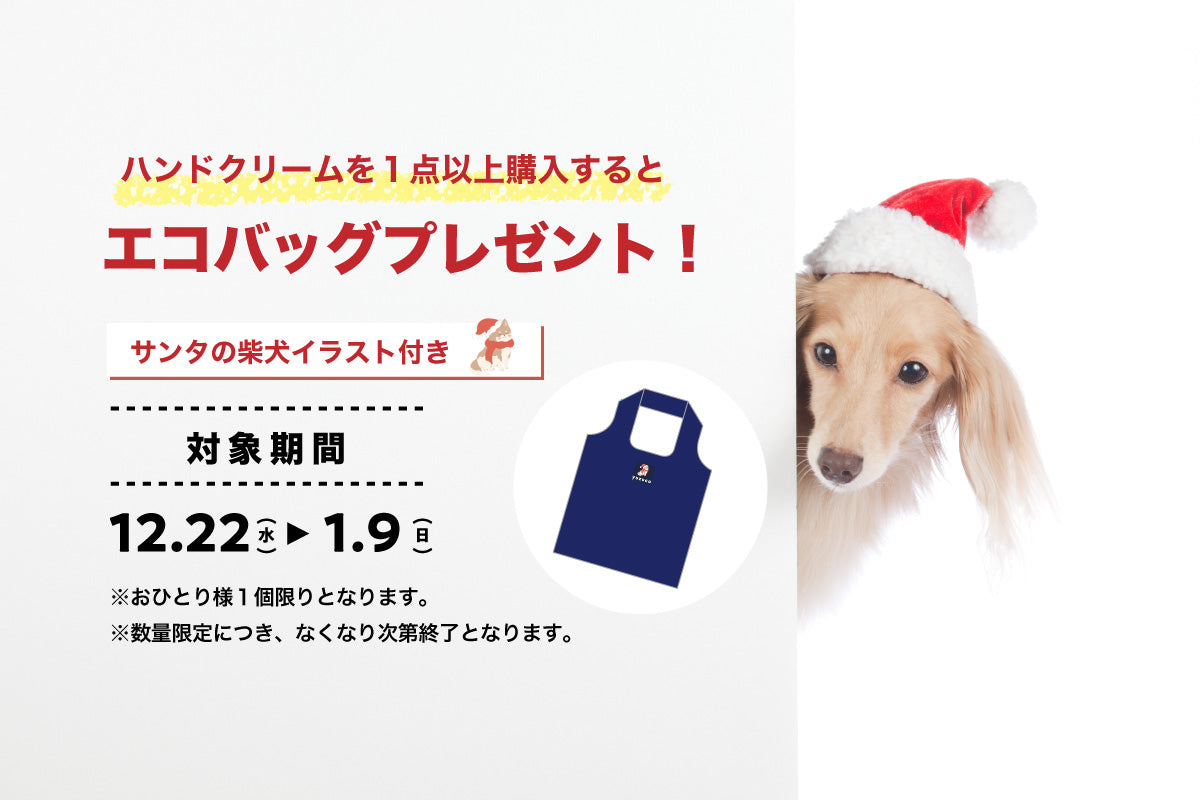 【期間限定】エコバッグプレゼントキャンペーン実施中!